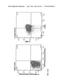 IL-12 COMPOSITIONS AND METHODS OF USE IN HEMATOPOIETIC RECOVERY diagram and image