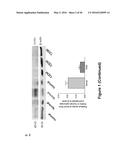 Use of Klotho Nucleic Acids or Proteins for Treatment of Diabetes and     Diabetes-Related Conditions diagram and image