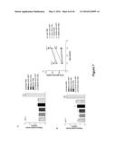 Use of Klotho Nucleic Acids or Proteins for Treatment of Diabetes and     Diabetes-Related Conditions diagram and image