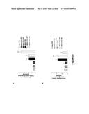 Use of Klotho Nucleic Acids or Proteins for Treatment of Diabetes and     Diabetes-Related Conditions diagram and image