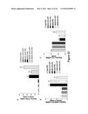 Use of Klotho Nucleic Acids or Proteins for Treatment of Diabetes and     Diabetes-Related Conditions diagram and image