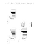 Use of Klotho Nucleic Acids or Proteins for Treatment of Diabetes and     Diabetes-Related Conditions diagram and image