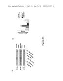 Use of Klotho Nucleic Acids or Proteins for Treatment of Diabetes and     Diabetes-Related Conditions diagram and image