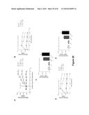 Use of Klotho Nucleic Acids or Proteins for Treatment of Diabetes and     Diabetes-Related Conditions diagram and image