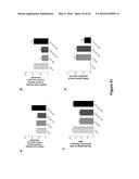 Use of Klotho Nucleic Acids or Proteins for Treatment of Diabetes and     Diabetes-Related Conditions diagram and image