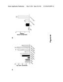 Use of Klotho Nucleic Acids or Proteins for Treatment of Diabetes and     Diabetes-Related Conditions diagram and image