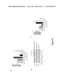 Use of Klotho Nucleic Acids or Proteins for Treatment of Diabetes and     Diabetes-Related Conditions diagram and image