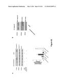 Use of Klotho Nucleic Acids or Proteins for Treatment of Diabetes and     Diabetes-Related Conditions diagram and image