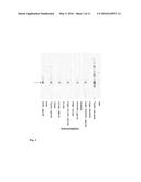 IMMUNOGENIC COMPOSITION COMPRISING NEISSERIA MENINGITIDIS MACROPHAGE     INFECTIVITY POTENTIATOR PROTEIN AND METHODS FOR USING THEM diagram and image