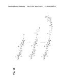 COAGULATION FACTOR VII POLYPEPTIDES diagram and image