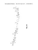 COAGULATION FACTOR VII POLYPEPTIDES diagram and image