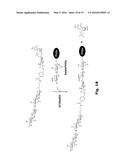 COAGULATION FACTOR VII POLYPEPTIDES diagram and image