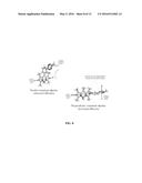 Bioorthogonal Turn-on Probes diagram and image