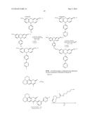 Bioorthogonal Turn-on Probes diagram and image