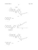 Bioorthogonal Turn-on Probes diagram and image