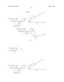 Bioorthogonal Turn-on Probes diagram and image