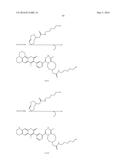 Bioorthogonal Turn-on Probes diagram and image