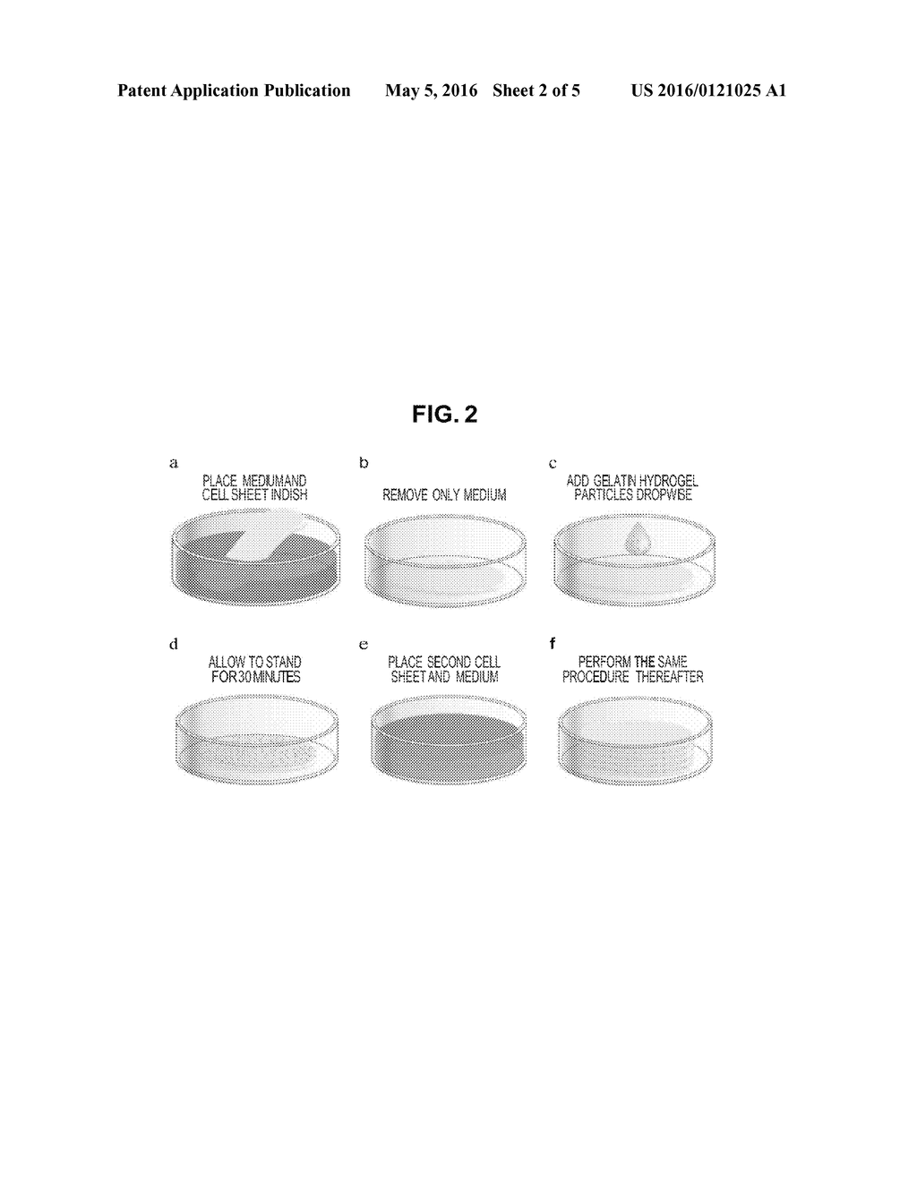 LAYERED CELL SHEET INCORPORATING HYDROGEL - diagram, schematic, and image 03