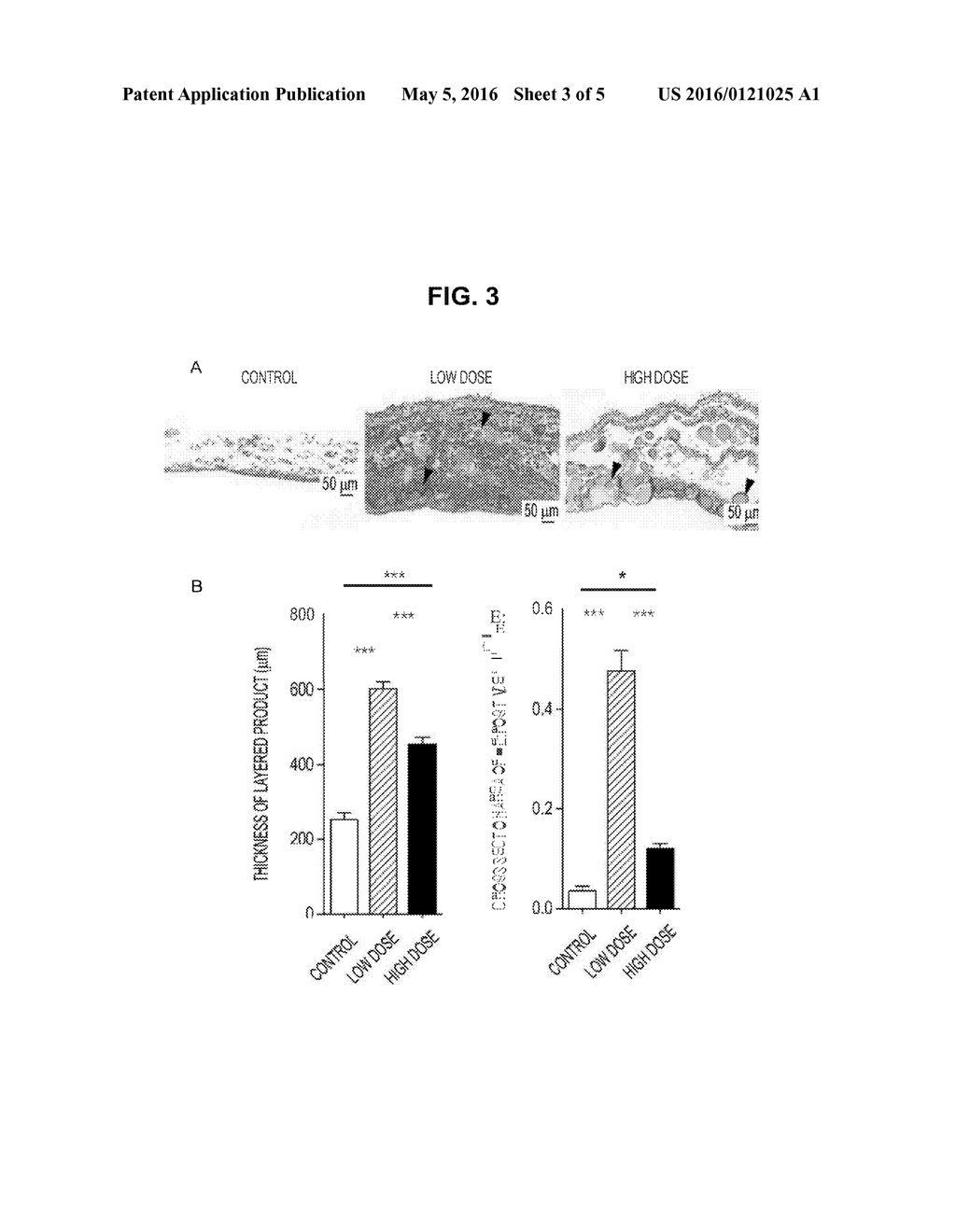 LAYERED CELL SHEET INCORPORATING HYDROGEL - diagram, schematic, and image 04