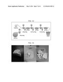 CONTINUOUS CARBON SEQUESTRATION MATERIAL PRODUCTION METHODS AND SYSTEMS     FOR PRACTICING THE SAME diagram and image