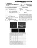 CMP PAD CONDITIONER AND METHOD FOR MANUFACTURING THE SAME diagram and image