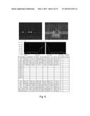 CMP PAD CONDITIONER AND METHOD FOR MANUFACTURING THE SAME diagram and image