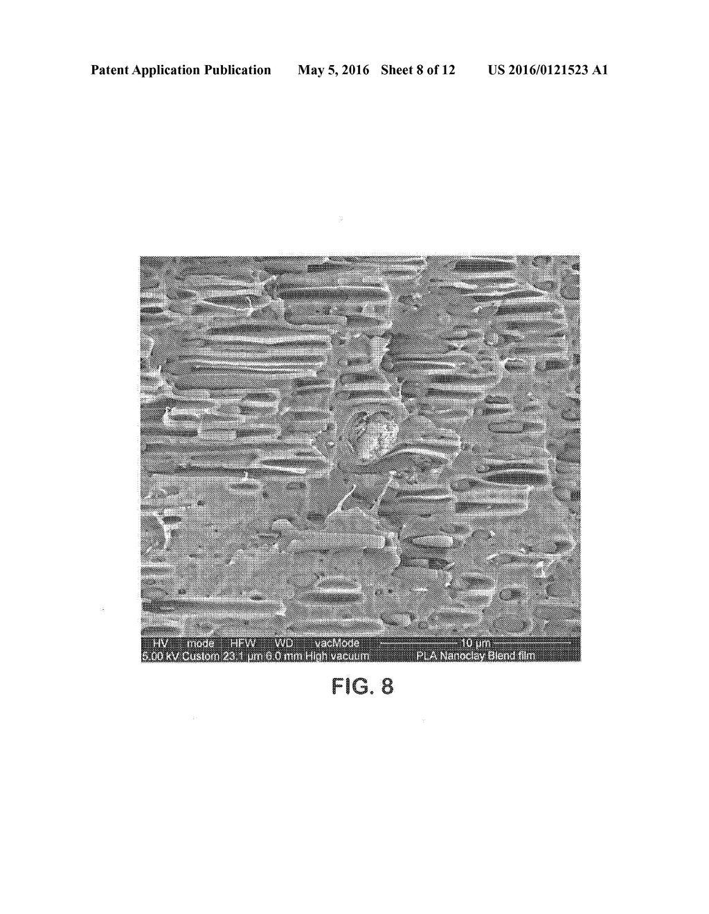 Pore Initiation Technique - diagram, schematic, and image 09