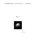 GRAPHENE STRUCTURE HAVING NANOBUBBLES AND METHOD OF FABRICATING THE SAME diagram and image