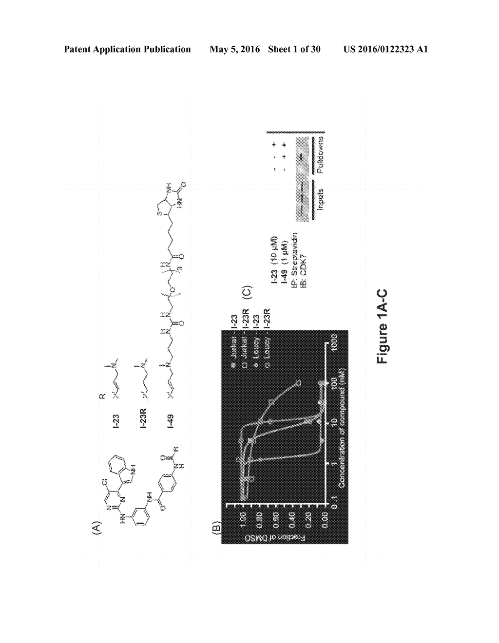 INHIBITORS OF CYCLIN-DEPENDENT KINASE 7 (CDK7) - diagram, schematic, and image 02