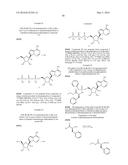 METHODS FOR THE PREPARATION OF RIBOSIDES diagram and image