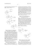 SPIRO-LACTAM NMDA RECEPTOR MODULATORS AND USES THEREOF diagram and image