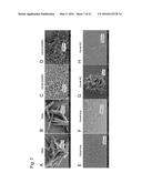 METHOD FOR PRODUCING BETA-HEMATIN CRYSTAL COMPRISING STEP OF HEATING diagram and image