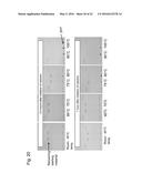 METHOD FOR PRODUCING BETA-HEMATIN CRYSTAL COMPRISING STEP OF HEATING diagram and image