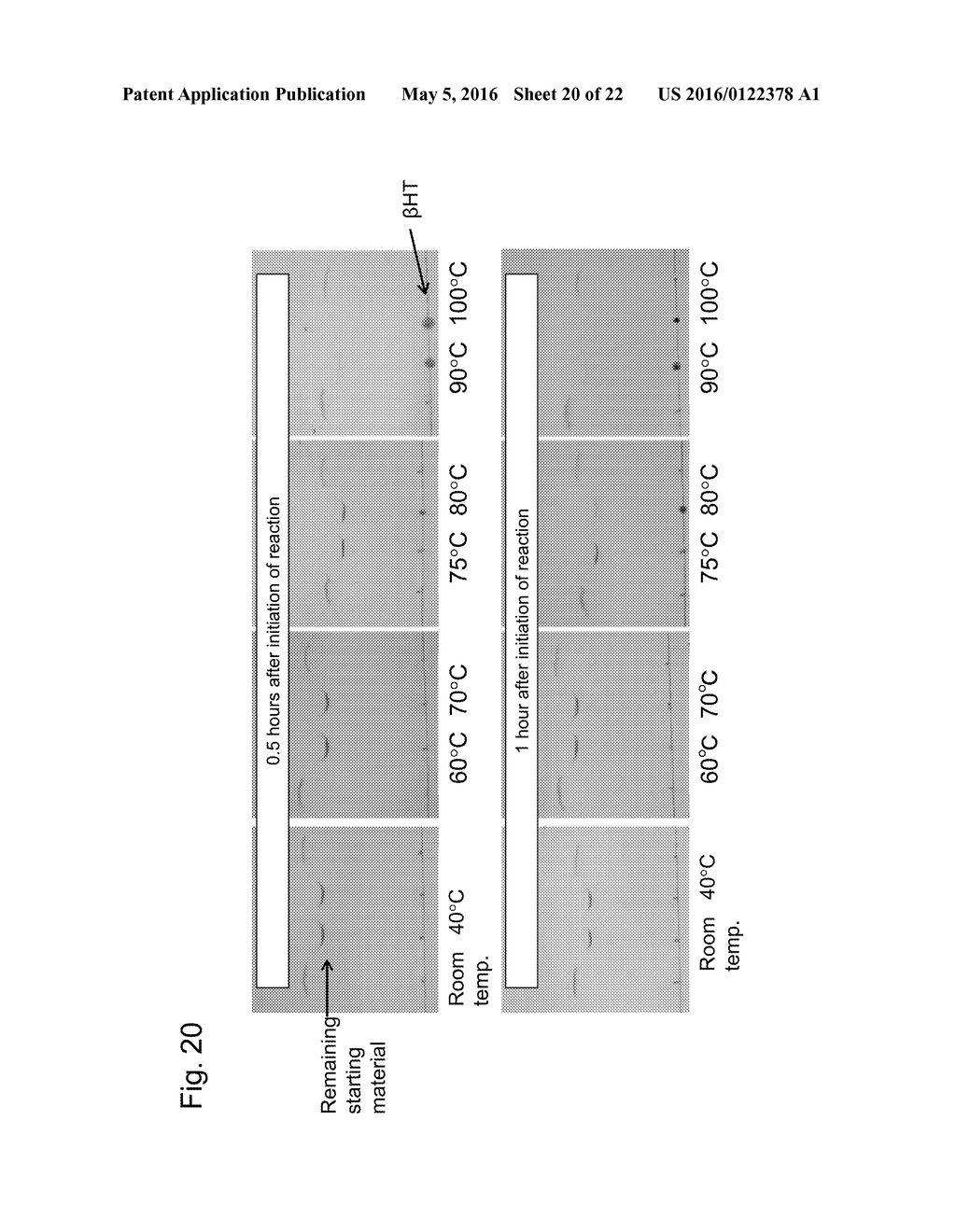 METHOD FOR PRODUCING BETA-HEMATIN CRYSTAL COMPRISING STEP OF HEATING - diagram, schematic, and image 21