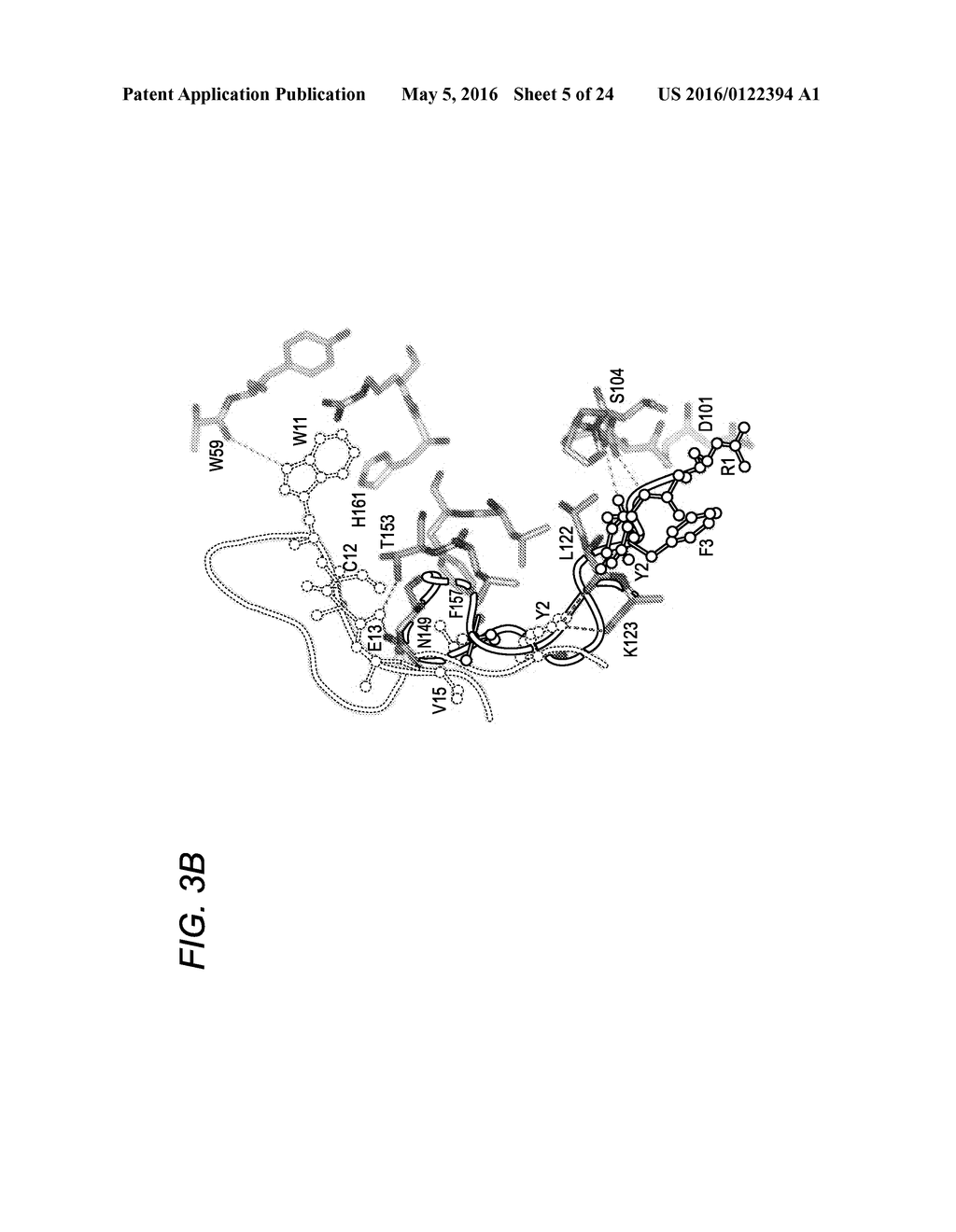 FC RECEPTOR (FcRn) BINDING PEPTIDES AND USES THEREOF - diagram, schematic, and image 06