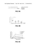 THERAPEUTIC HPV16 VACCINES diagram and image