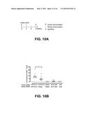 THERAPEUTIC HPV16 VACCINES diagram and image