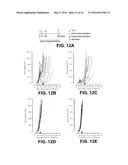 THERAPEUTIC HPV16 VACCINES diagram and image