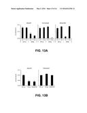 THERAPEUTIC HPV16 VACCINES diagram and image