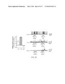 METHODS OF TREATING A TAUOPATHY diagram and image