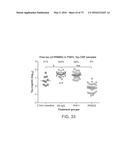 METHODS OF TREATING A TAUOPATHY diagram and image