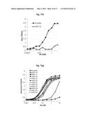 ANTI-VEGF ANTIBODY, AND PHARMACEUTICAL COMPOSITION FOR PREVENTING,     DIAGNOSING OR TREATING CANCER OR ANGIOGENESIS-RELATED DISEASES,     CONTAINING SAME diagram and image