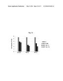 ANTI-VEGF ANTIBODY, AND PHARMACEUTICAL COMPOSITION FOR PREVENTING,     DIAGNOSING OR TREATING CANCER OR ANGIOGENESIS-RELATED DISEASES,     CONTAINING SAME diagram and image