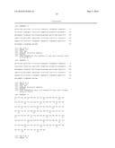 ANTI-VEGF ANTIBODY, AND PHARMACEUTICAL COMPOSITION FOR PREVENTING,     DIAGNOSING OR TREATING CANCER OR ANGIOGENESIS-RELATED DISEASES,     CONTAINING SAME diagram and image