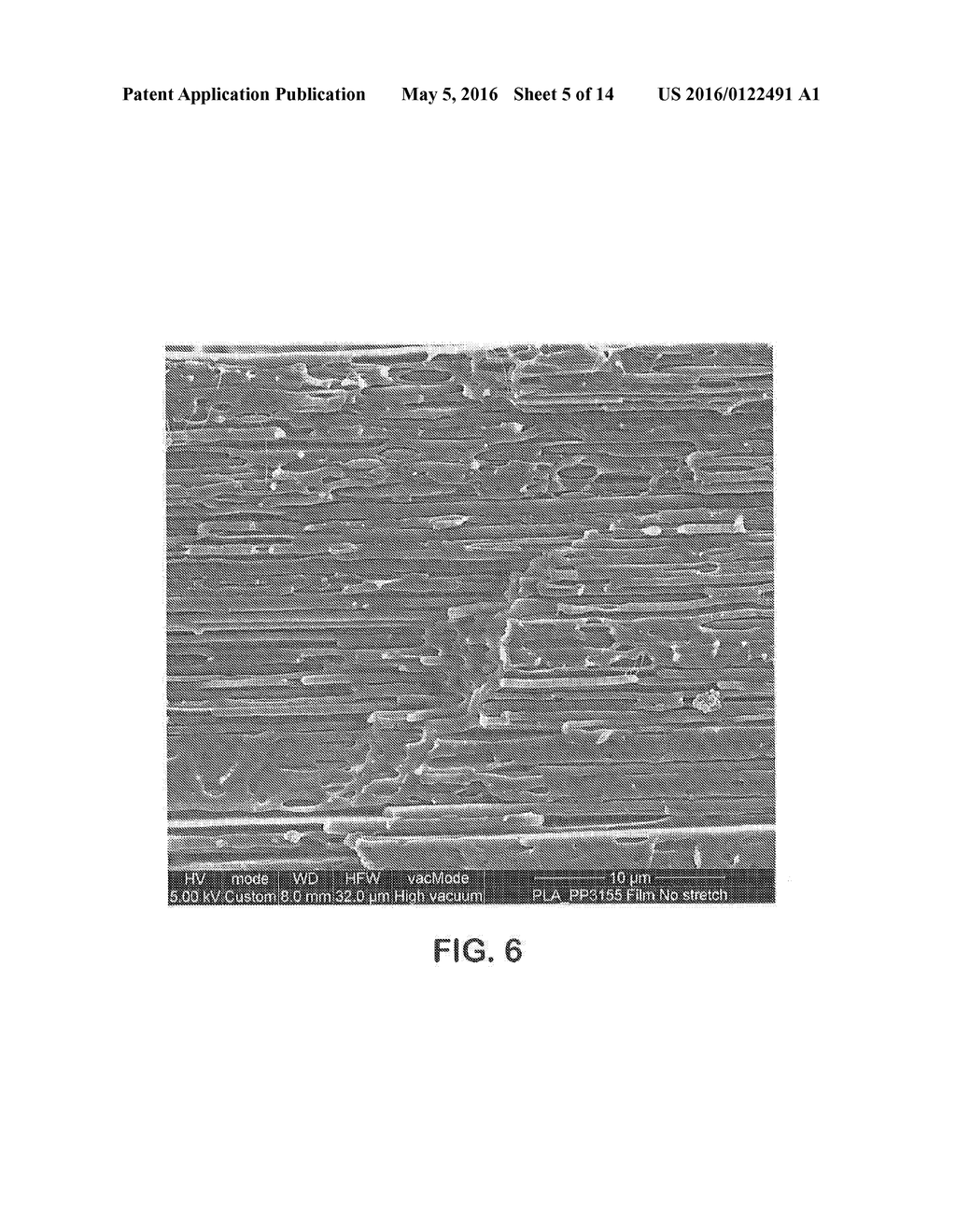 Polymeric Material for Use in Thermal Insulation - diagram, schematic, and image 06