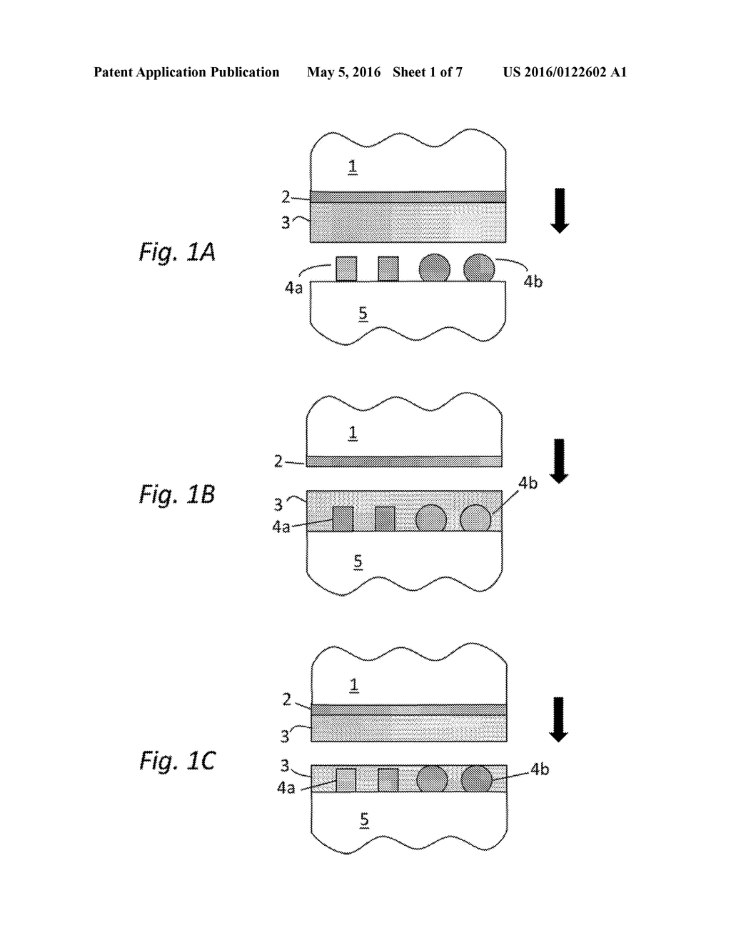 EPHEMERAL BONDING - diagram, schematic, and image 02