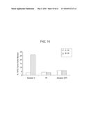 GENERATION OF CYTOTOXIC TUMOR SPECIFIC CELL LINES AND USES THEREOF diagram and image