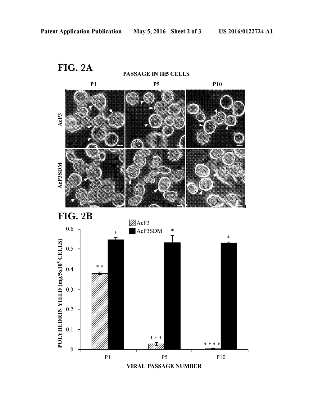 Recombinant Baculovirus Expression Vector and Cell - diagram, schematic, and image 03