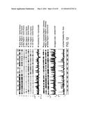 NOVEL MOLECULES OF THE CARD-RELATED PROTEIN FAMILY AND USES THEREOF diagram and image