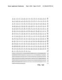 NOVEL MOLECULES OF THE CARD-RELATED PROTEIN FAMILY AND USES THEREOF diagram and image